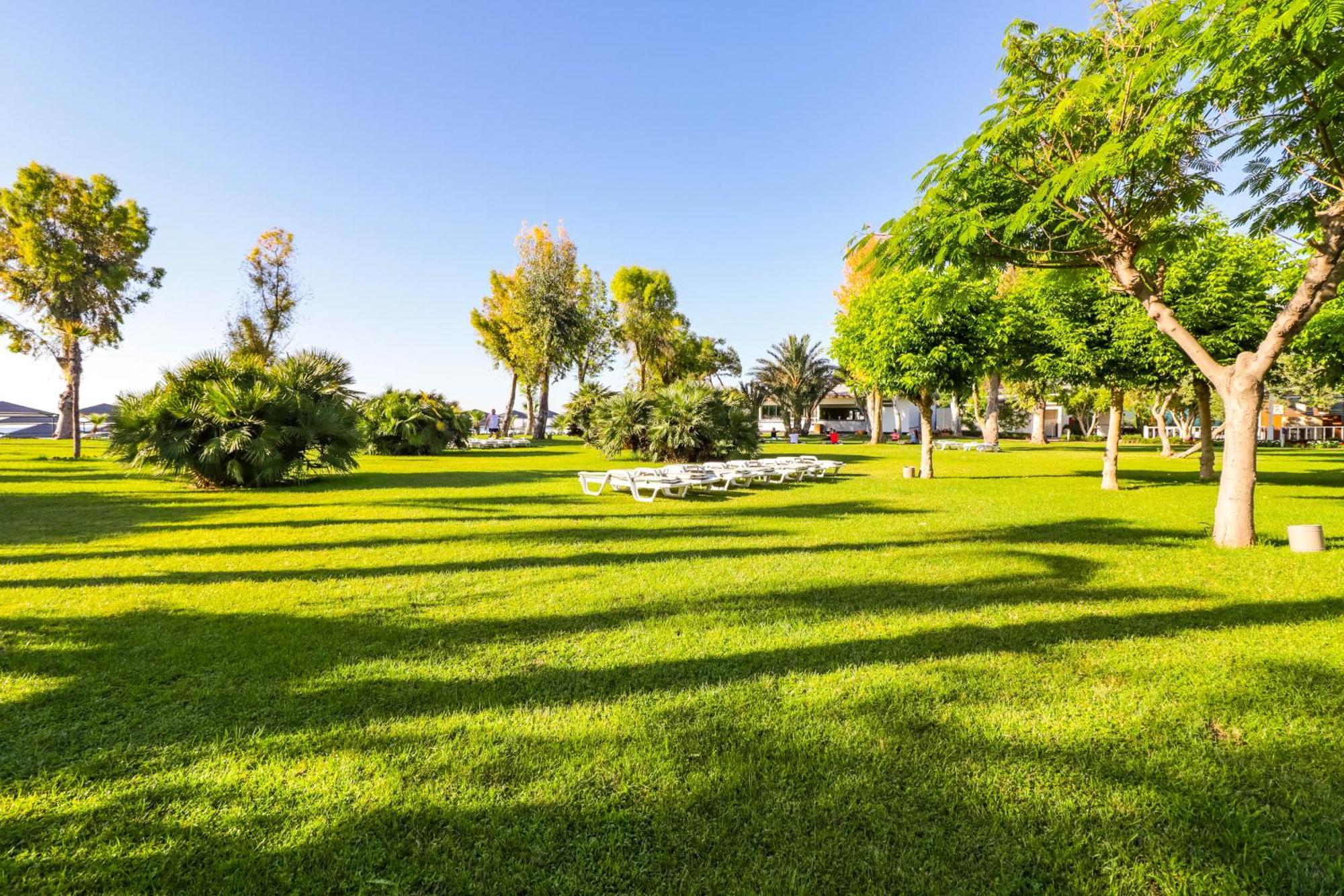 Queen'S Park Le Jardin 凯梅尔 外观 照片